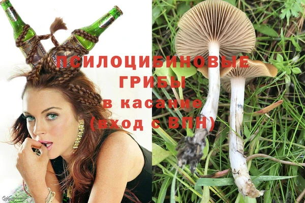 а пвп мука Верея
